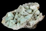 Amazonite Crystal Cluster - Colorado #129664-1